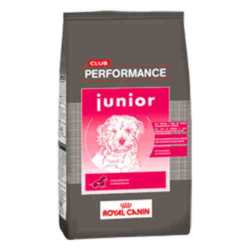ROYAL PERFORMANCE JUNIOR 15 KG 